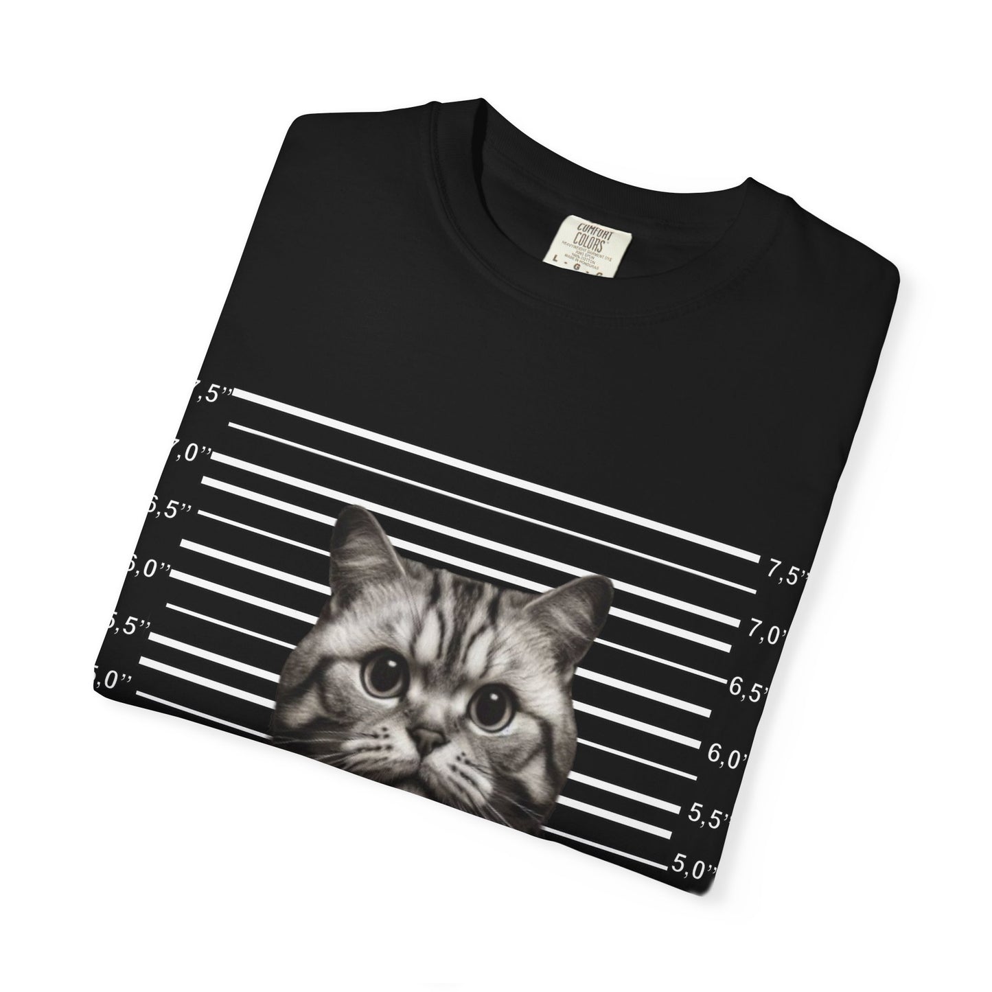 Mugshot Cat T-Shirt | Felon Feline "Caught Many Rats" Tee