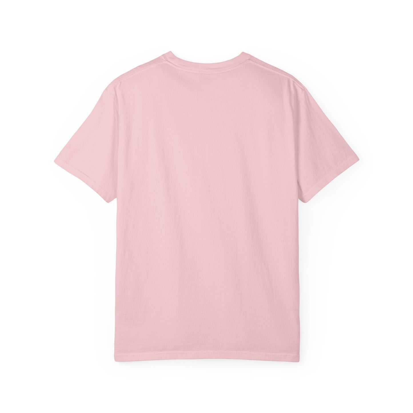 House Guard Cat T-Shirt: The Ultimate Feline Protector